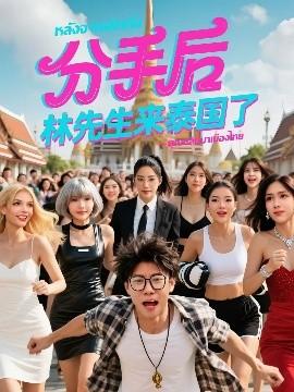 分手后林先生來泰國了