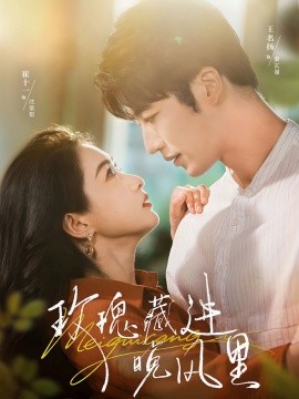 玫瑰藏進晚風里