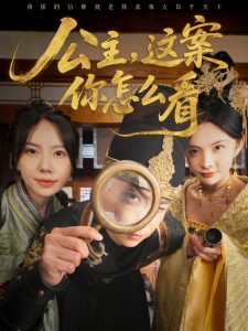 公主，這案你怎么看