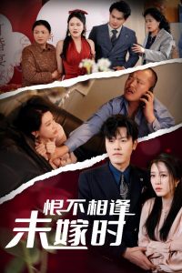 恨不相逢未嫁時(shí)30集