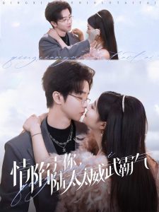 情陷于你，陸太太威武霸氣