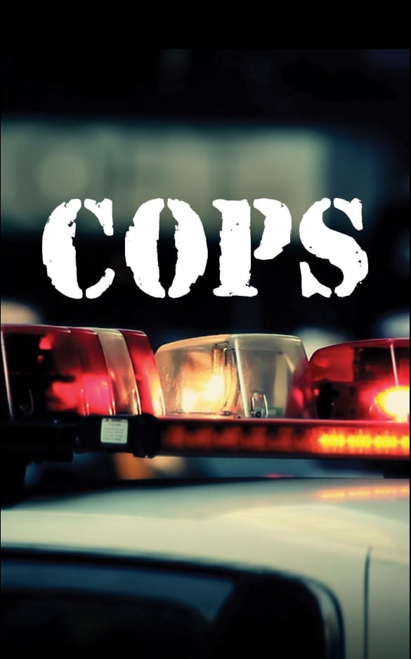 執法先鋒 第三十七季