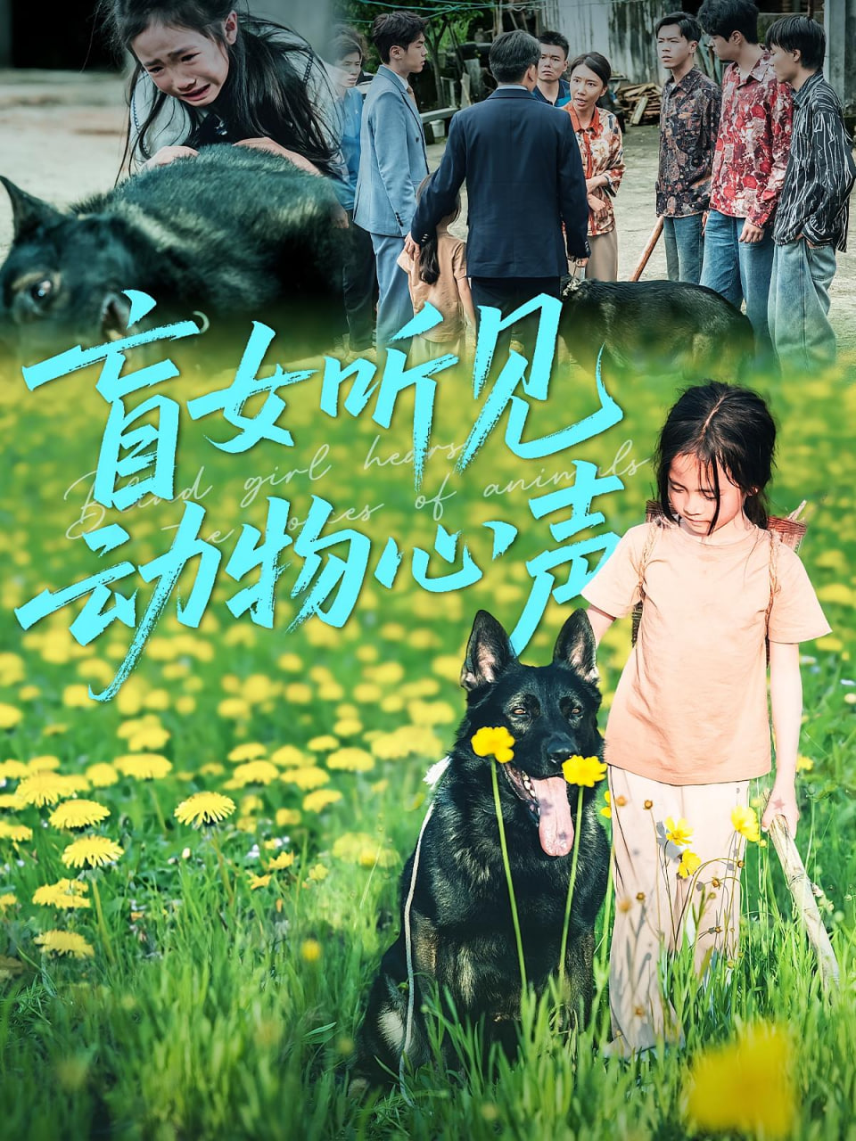 盲女聽見動物心聲